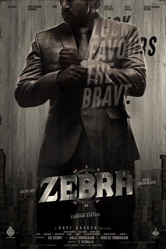 Download Zebra (2024) UNCUT [Hindi DD2.0 + Telugu DD5.1] 480p [600MB] | 720p [1.5GB] | 1080p [3.3GB] WeB-DL